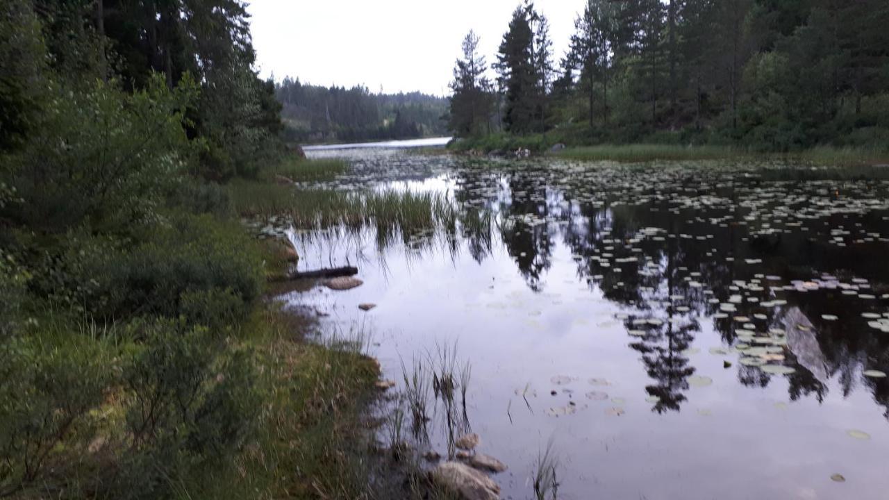 Granheim Hytte Med 2 Soverom Birkeland Bagian luar foto