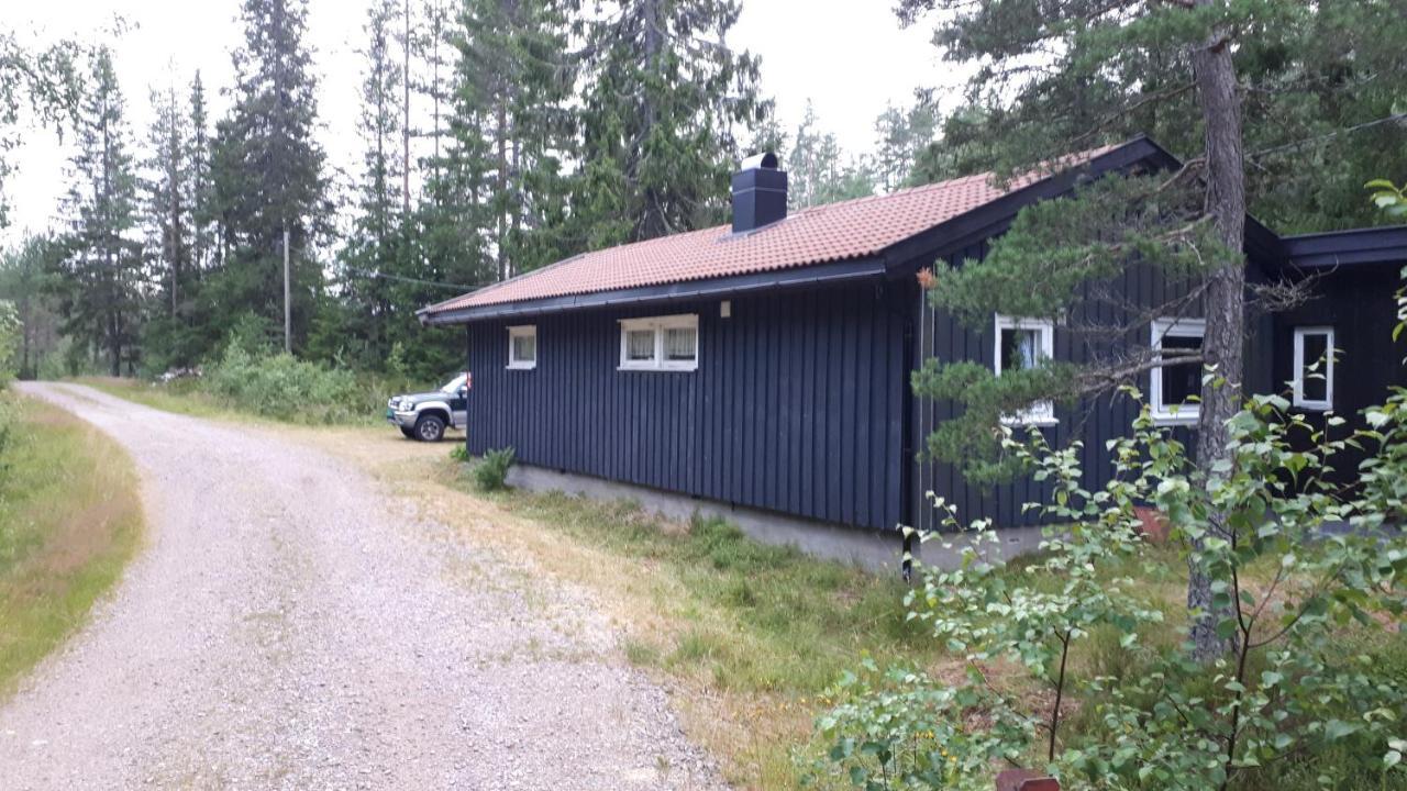 Granheim Hytte Med 2 Soverom Birkeland Bagian luar foto